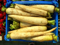 Daikon