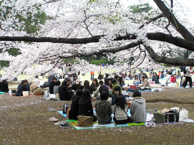 Hanami