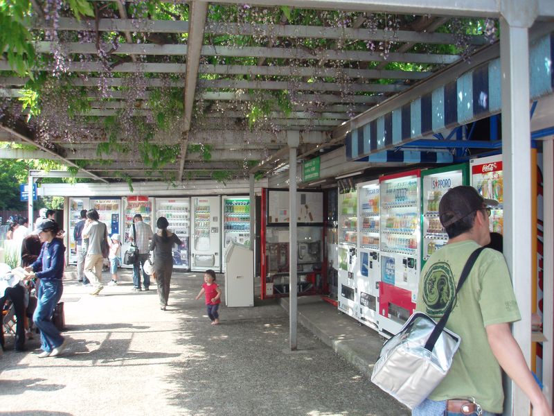 Vending Machine Corner