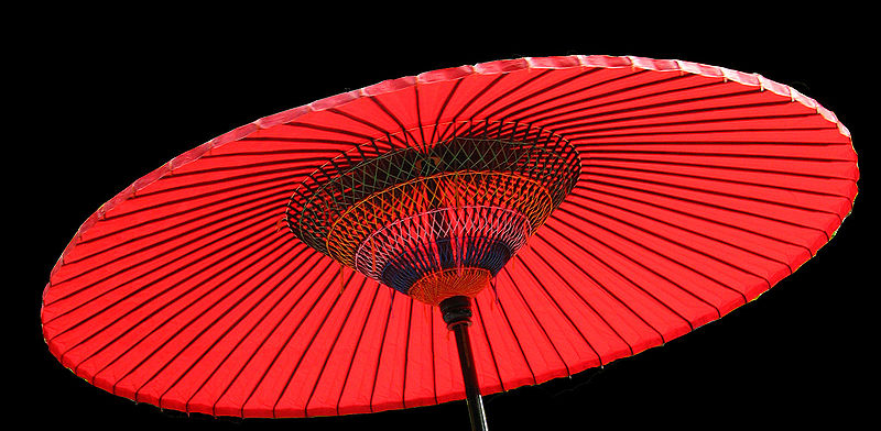 800px-Umbrella-C7068