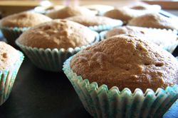 Fairy_cakes_close_up_on_tray