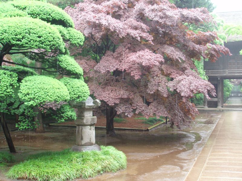 Heinrinji Zen Temple3