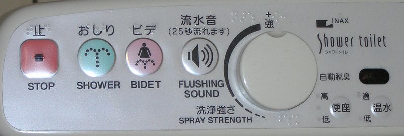 Toilet controls