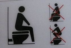How to use a western toilet