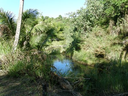 Talofofo lake