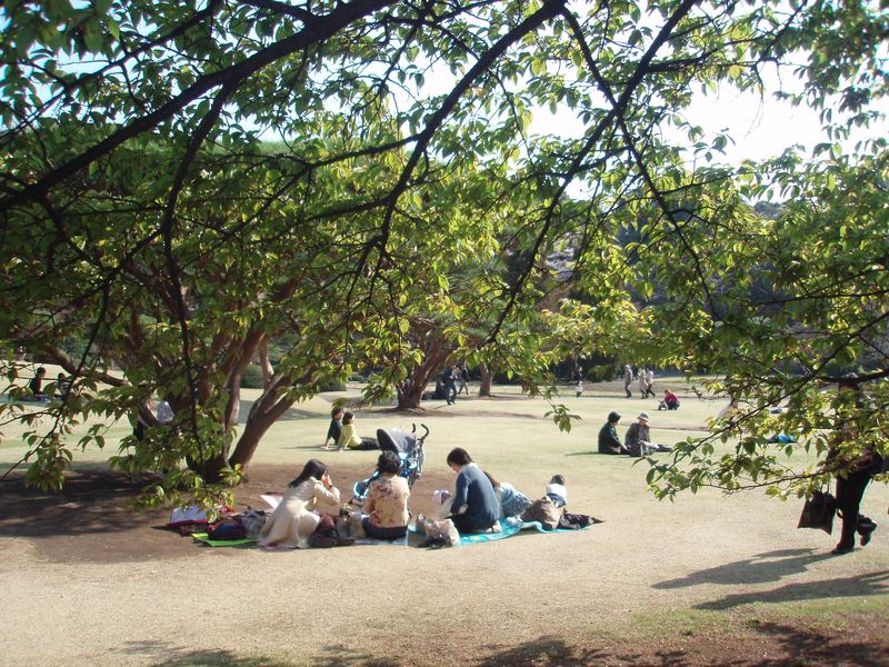 Picnickers