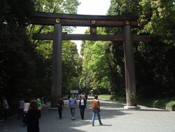 Torii gate at Meiji jingu