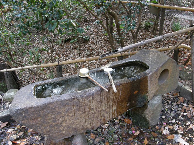 Water trough