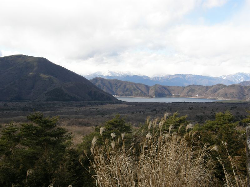 Mountains, lake & Susuki grass