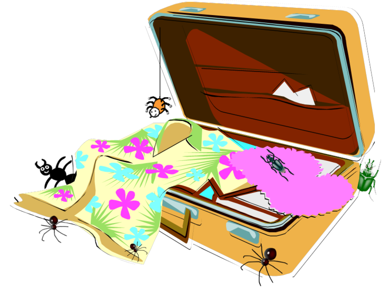 Bug suitcase