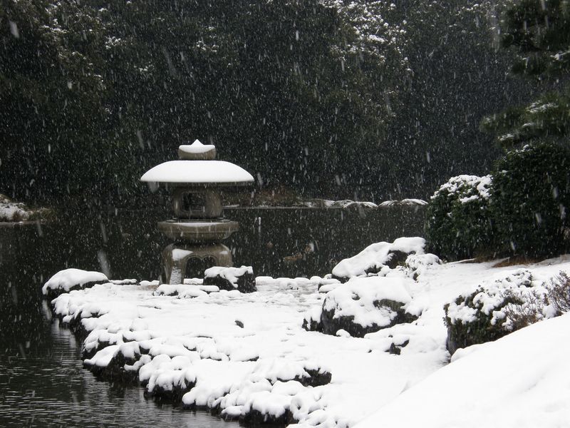 Shinjuku Gyoen in snow