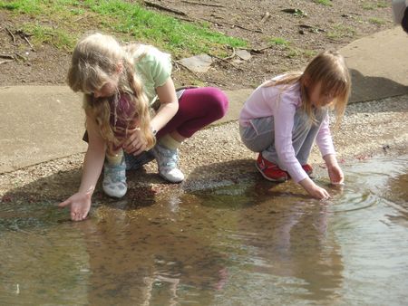 Tadpole fishing