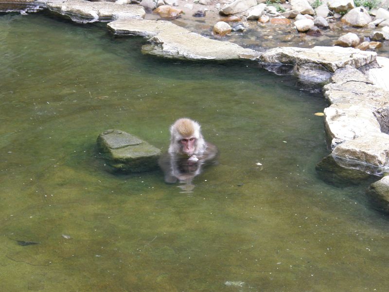 Bathing