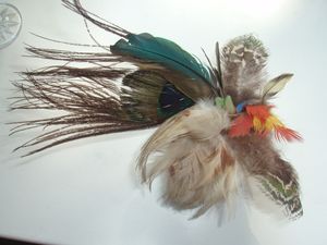 Feathers1