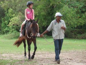 Pony ride