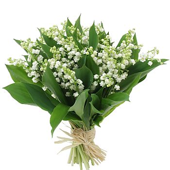 LilyOfTheValleyBouquet