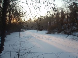 Frozen lake in Berlin