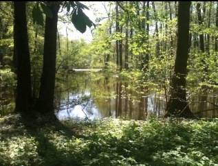 Lake in Poland2
