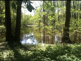 Lake in Poland2