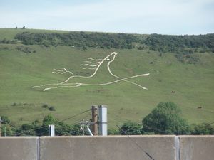 White horse