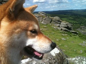 Kita on Hound Tor